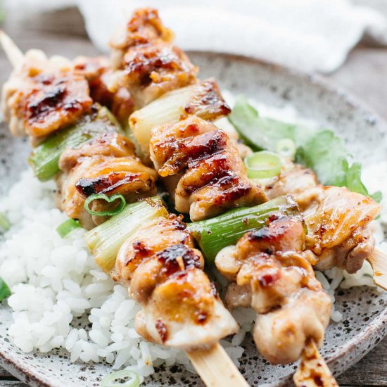 Yakitori Chicken