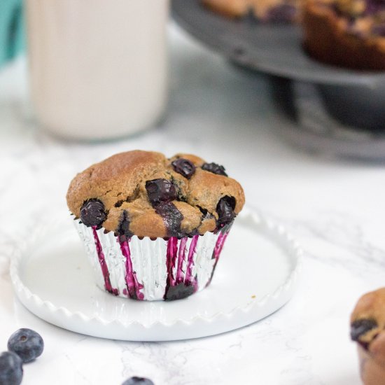 Healthy Blueberry Blender Muffins