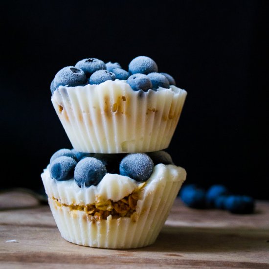 Frozen Yogurt Berry Granola Bites