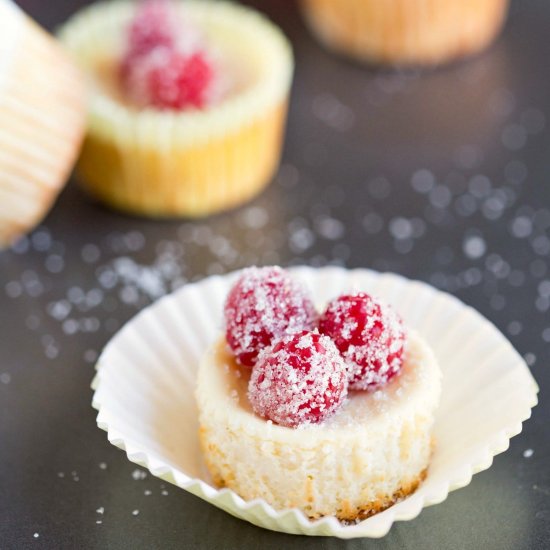 Mini Lemon Yogurt Cheesecakes