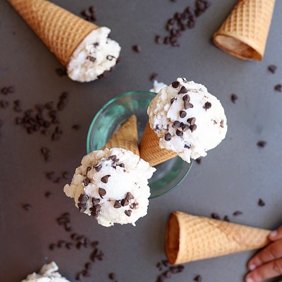 Mint Chocolate Chip Ice Cream