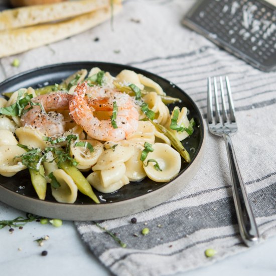 Shrimp Orecchiette with White Wine