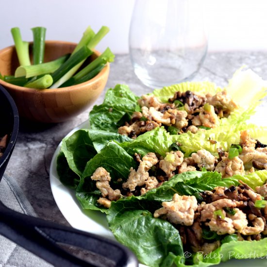 Lettuce Wraps