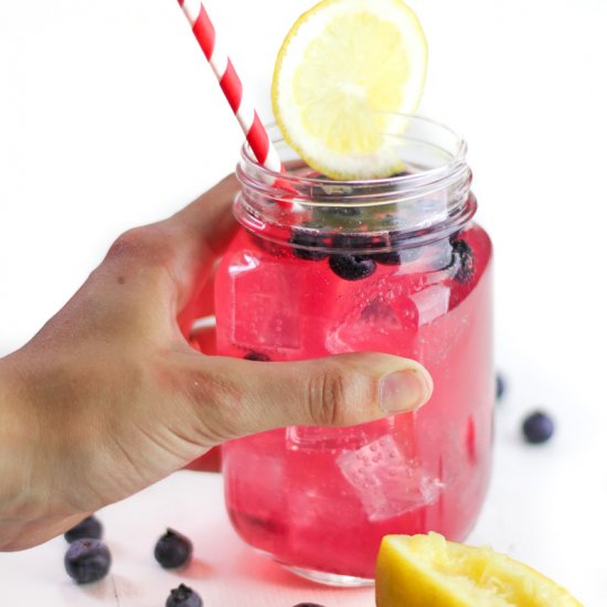 Blueberry Wine Spritzer