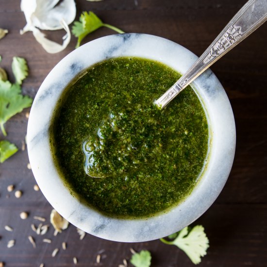 Spicy Cilantro Sauce