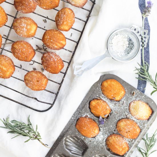 Lavender and Honey Madeleines