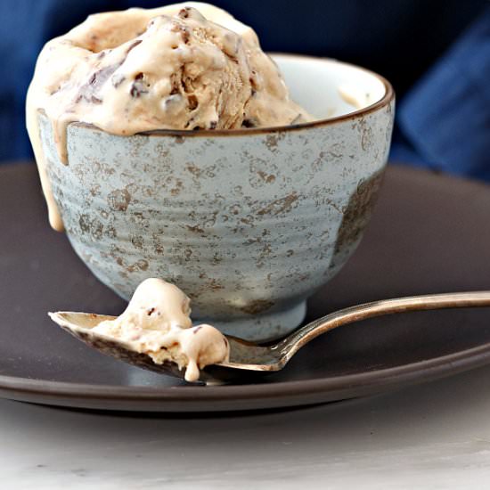 Turtle Fudge Swirl Ice Cream