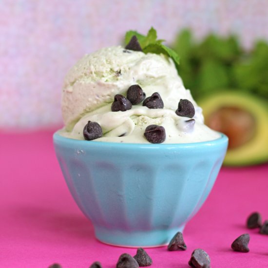 Dairy Free Mint Chocolate Chip Ice Cream