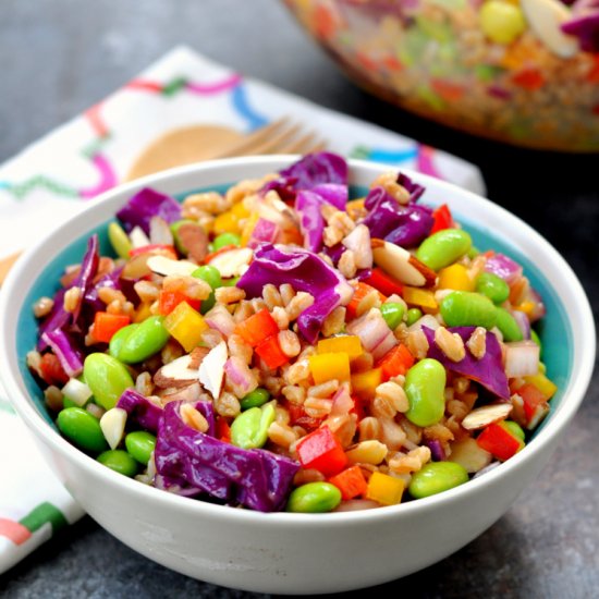 Rainbow Farro Salad