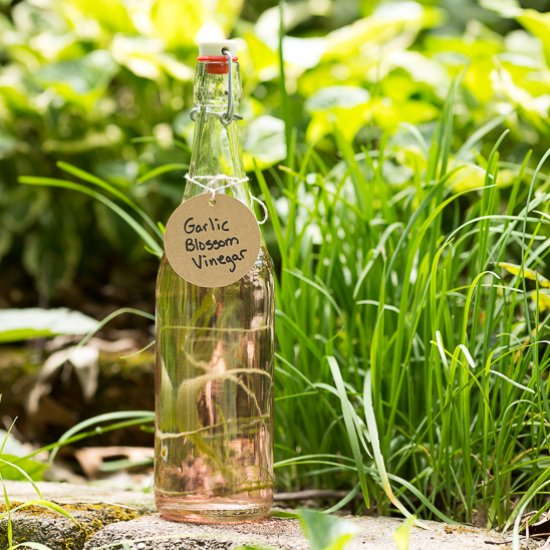 Garlic Blossom Vinegar