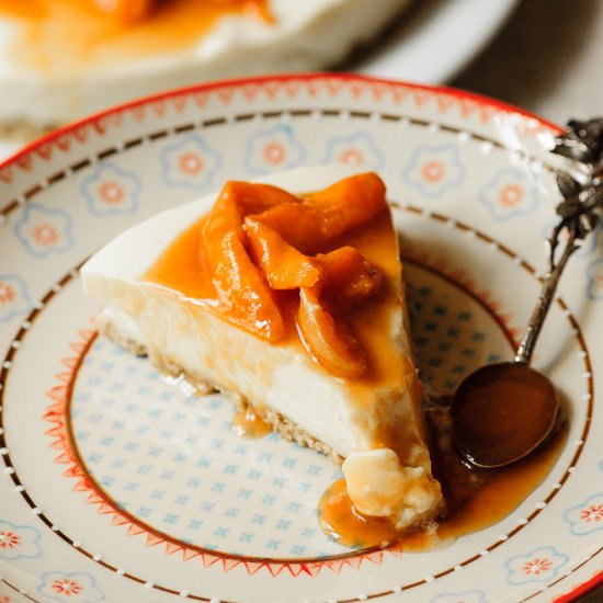 Apricot Cheesecake