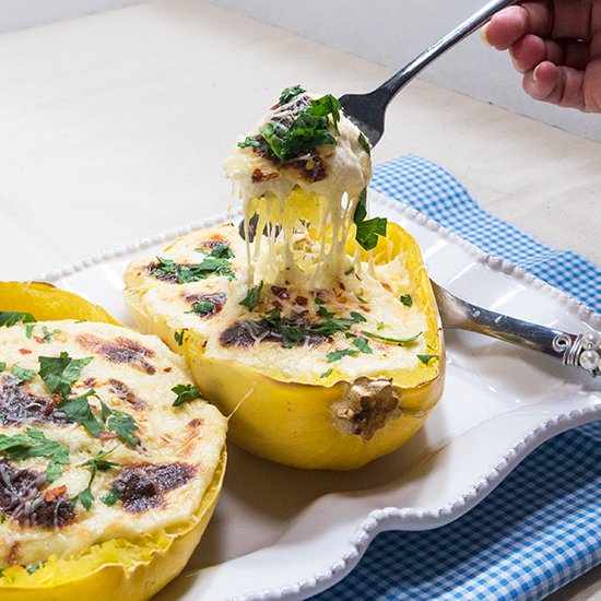 Spaghetti Squash Alfredo