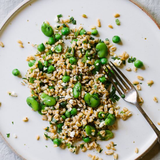 Farro Salad with Favas and Peas