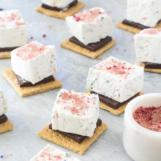 Dairy-Free Funfetti S’mores