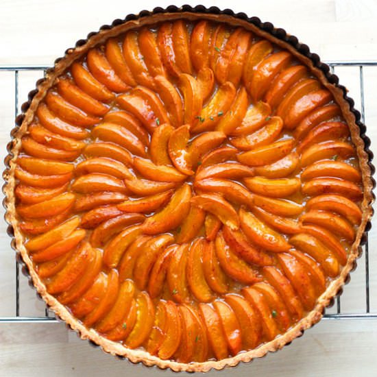 Apricot Tart