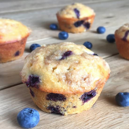 Blueberry Muffins