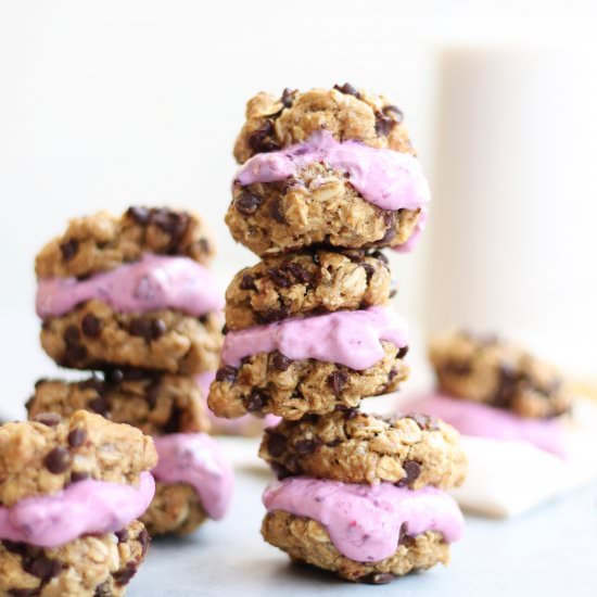 Oatmeal Froyo Cookie Sandwiches