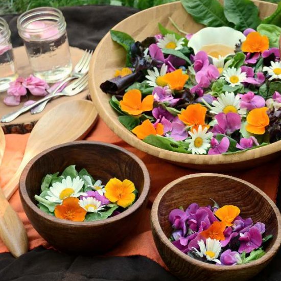 Edible Wildflower Salad