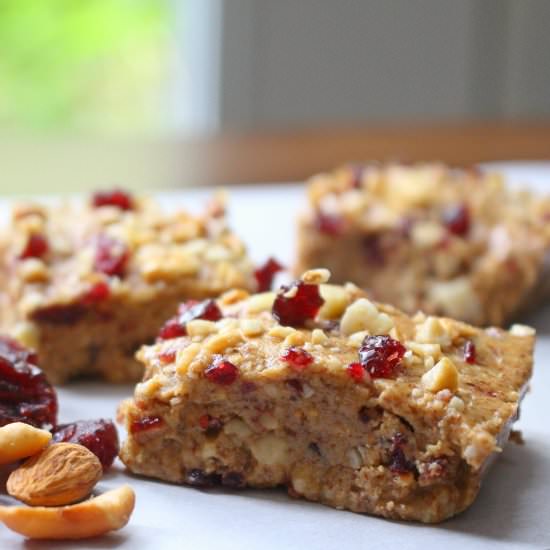 Cashew Almond & Cranberry Bites