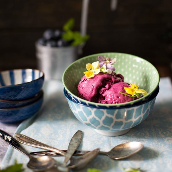 Blueberry Ice Cream