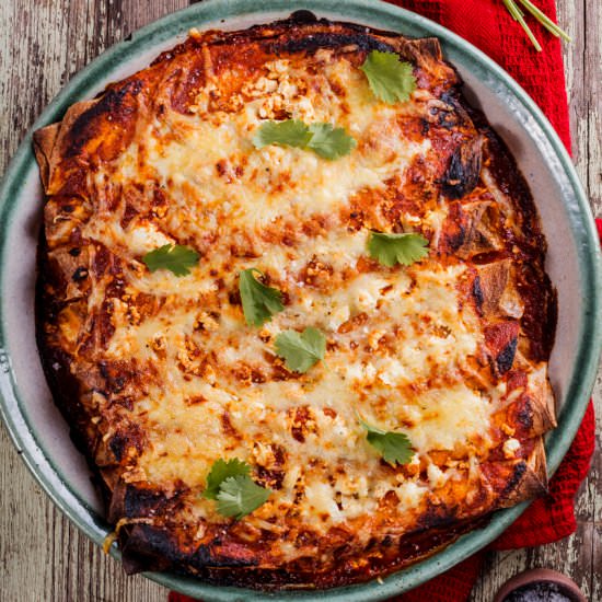 Shredded chicken enchiladas