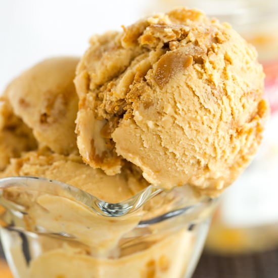 Cookie Butter Ice Cream