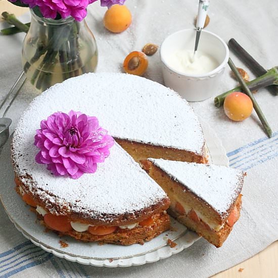 Apricot cake