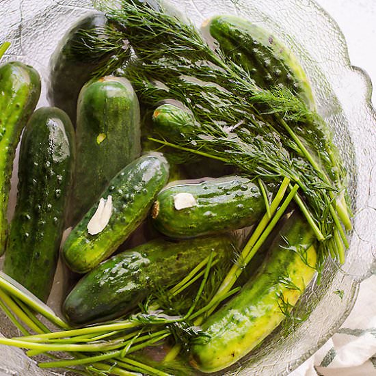 2 Day Ukrainian Garlic Dill Pickles