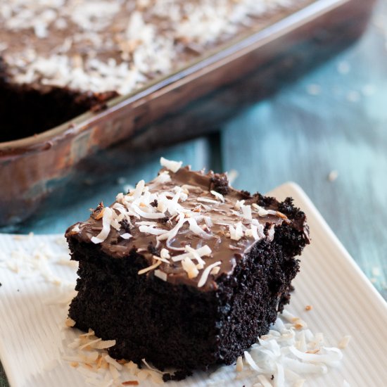 Chocolate Coconut Crazy 8 Cake