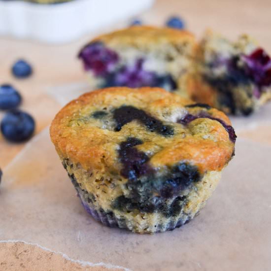 Skinny Blueberry Banana Muffins