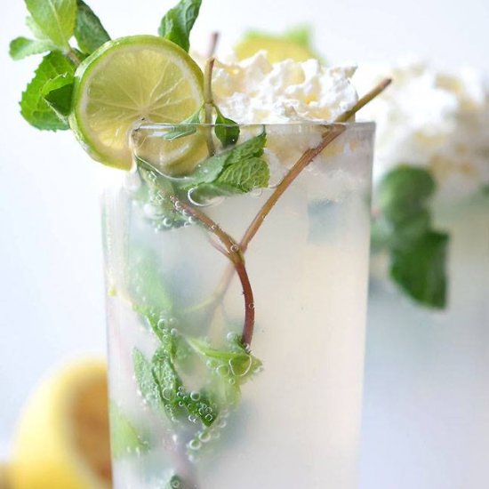 Mojito Float