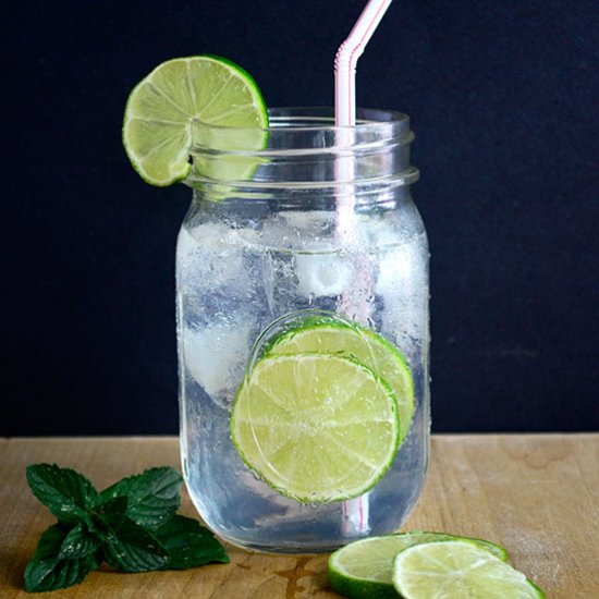 Skinny Gin and Tonic