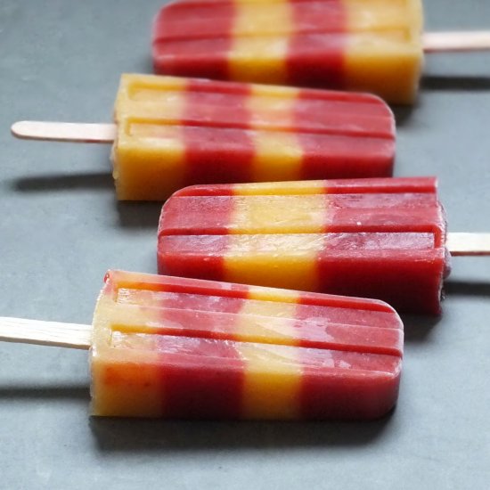 Sugar Free Coconut Water Popsicles