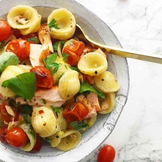 Orecchiette with Salmon & Tomato