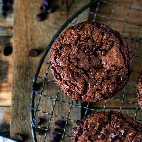 Double Chocolate Chip Muffins