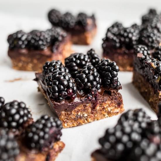 Blackberry Cashew Bars