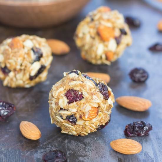 Blueberry Almond Butter Bites