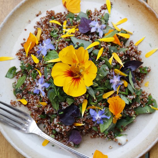 bloom salad