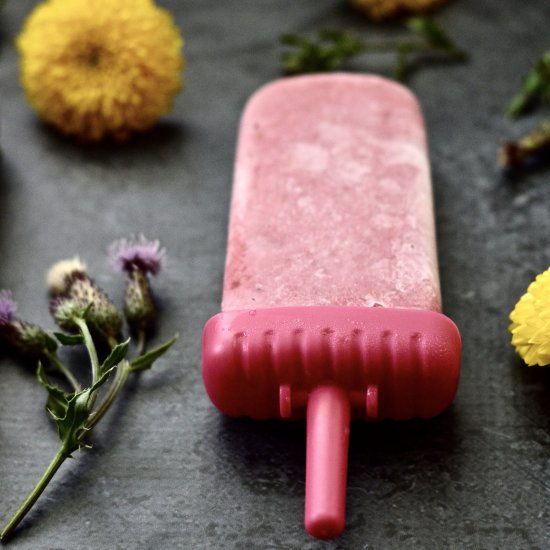 Raspberry Coconut Popsicles