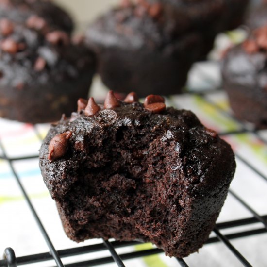 Double Chocolate Zucchini Muffins