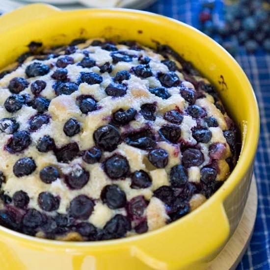 Blueberry Cake