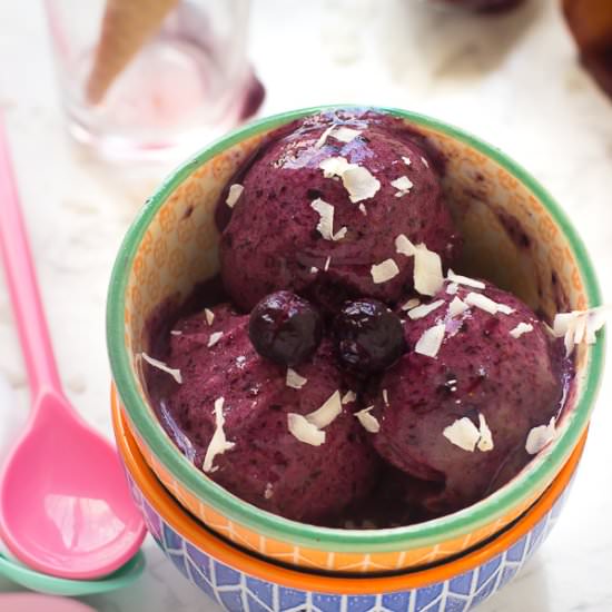 Vegan Blueberry Ice Cream