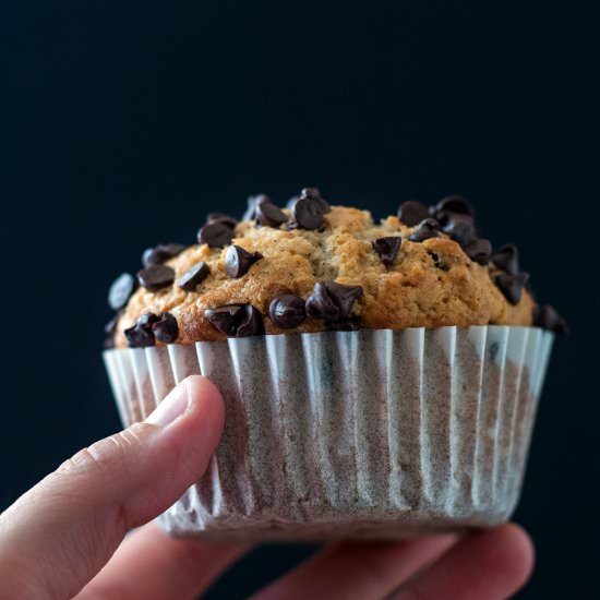 Bakery Style Chocolate Chip Muffins