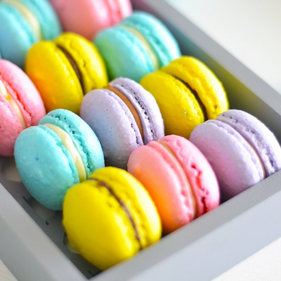 French macaron