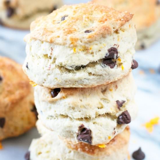 Orange Dark Chocolate Chip Scones