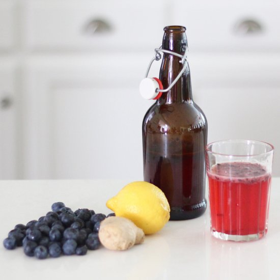 Ginger Berryade Kombucha