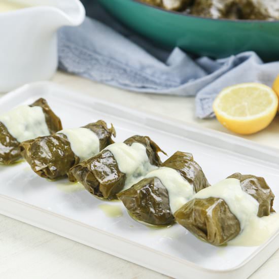 Greek Dolmades with Avgolemono