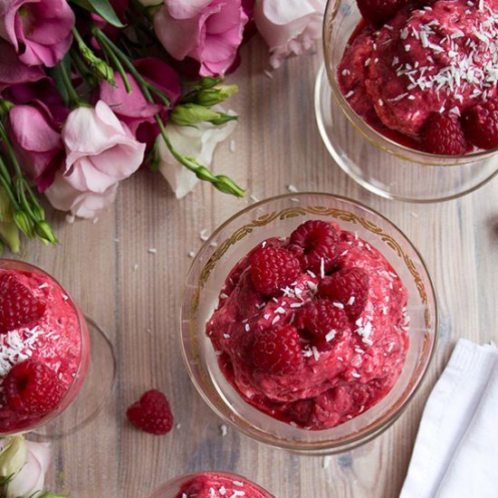 Raspberry Chia Coconut Froyo