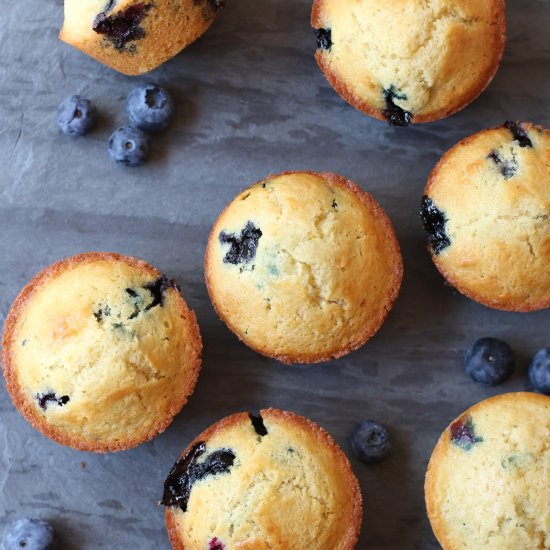 Blueberry Muffins