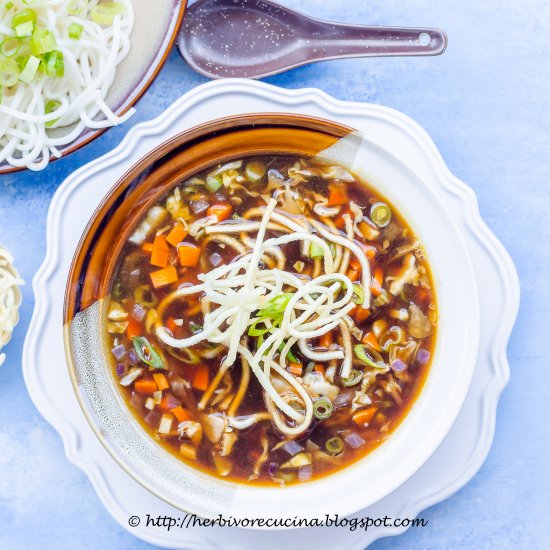 Vegetable Manchow Soup